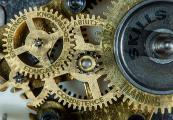 Gears and texts experience, knowledge, skills, education