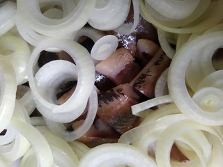 salted fish herring with onion cut into rings
