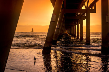 Jetty at The Spit, Queensland at sunrise with sailboat and seagull - Powered by Adobe