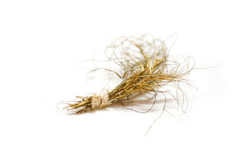 Durva (Doorva) grass or Bermuda grass or cynodon doctylon also called as Devil's Bull is used in India to make offerings to Lord Ganesha on white background