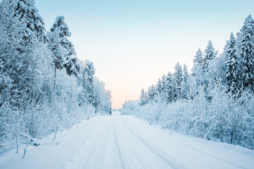 Beautiful fabulous winter landscape, the road going through the forest, everything is covered with snow.
