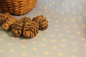 pine cones in a wicker basket on a blue background