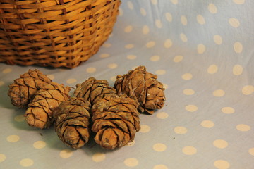 pine cones in a wicker basket on a blue background