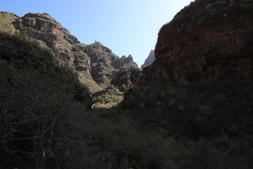 Barranco infierno Tenerife