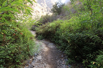 Barranco infierno Tenerife