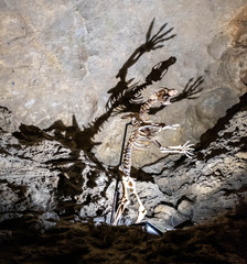 Stalaktitten in der Grotta del Vento in Italien