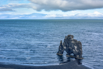 The majestic Hvitserkur Sea Stack - the "Troll of North-West Iceland", Nordurland vestra, Iceland