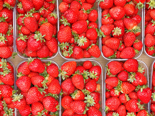 Fresh strawberry in basket with green leaves. Summer time with lights effect