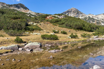 Fototapeta na wymiar Mountain river at Pirin Mountain, Bulgaria