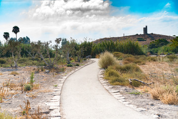 Walking path landscape with plants around