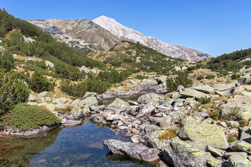 Mountain river and Vihren Peak, Pirin Mountain, Bulgaria