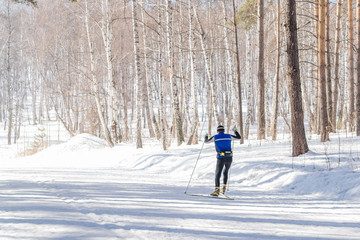 athlete skier in the winter forest. man skiing in the woods. the athlete on the ski trains