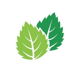 Eco Tree Leaf vector icon Logo Template. isolated on white background
