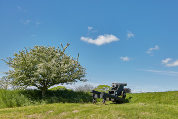 Old bronze cannon on rampart in city Fredericia, Denmark