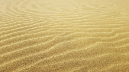 Yellow sand texture for background