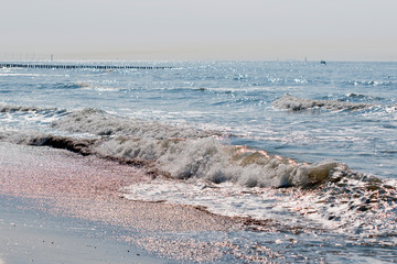 beach and sea