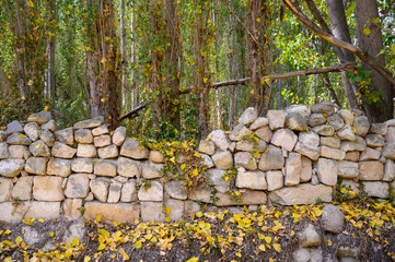 Alte Steinmauer im laubwald im herbst