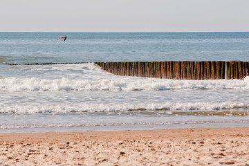 beach and sea