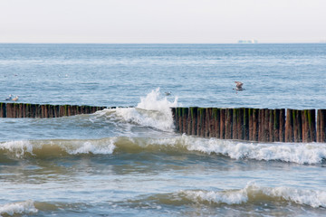 waves crashing on rocks
