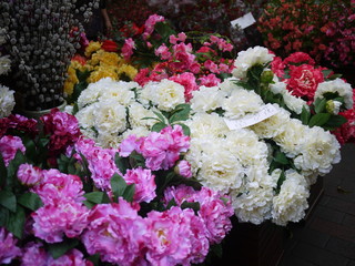 street flower 