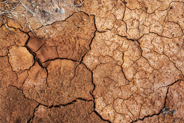 Dry and cracked soil