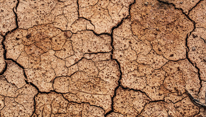 Dry and cracked soil - soil texture image