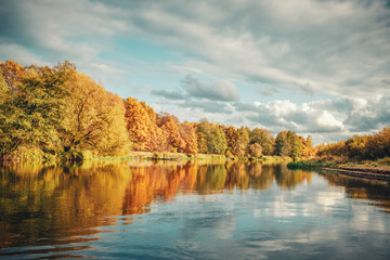 Picturesque autumn forest by the river.