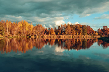 Picturesque autumn forest by the river.