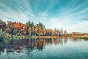 Picturesque autumn forest by the river.