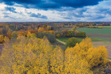 Obraz premium Autumn colors in countryside landscape.
