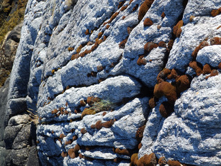 picture with abstract stone texture, suitable for background