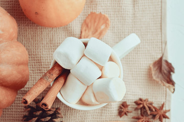 Pumpkin With Cups Of Coffee. Hot cocoa with marshmallows, cinnamon. top view