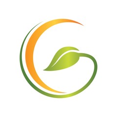 Eco Tree Leaf Logo Template,  isolated on white background