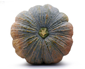 thai pumpkin isolated on white background
