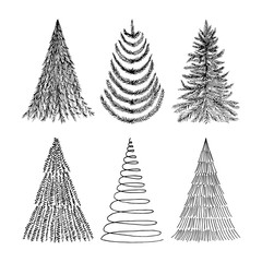 Hand drawn Christmas trees set. Vector sketch illustration.