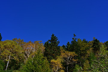 Autumn has begun at the 5th station of Mt.Fuji