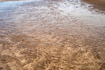 Sandy shore. extraordinary background