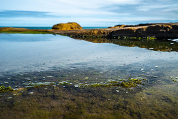 Unusual background of stones, algae and water made by nature on the ocean
