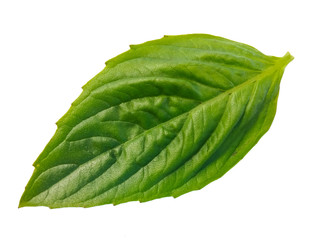 Obraz premium green leaf isolated on white background