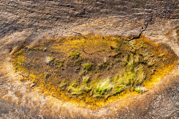Unusual background of stones, algae and water made by nature on the ocean