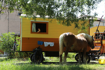 Urlaub mit Pferd und Kutsche in den Vogesen, Frankreich