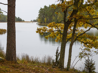 Fototapeta na wymiar Naturreservat Lövö / Mönsteras / Schweden