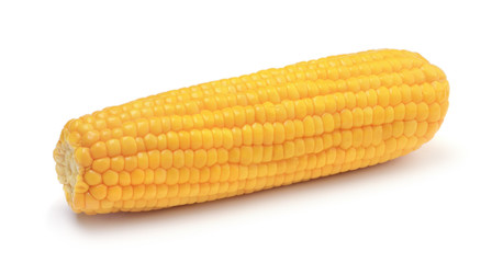 Fresh corn cob isolated on white