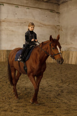 a little girl sits astride a horse in the stable building .