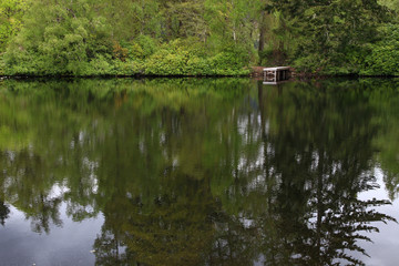A small wooden landing stage is reflected in the calm water of a tiny, peaceful loch surrounded by thick greenery in Glen Affric (Scottish Highlands)