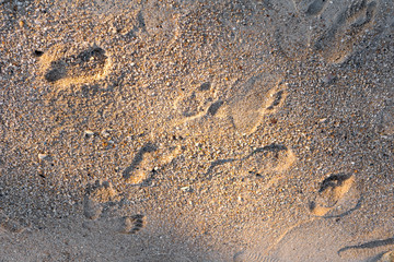 Footprint on sand background for text or design.