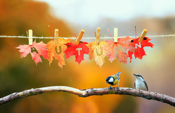 concept with two birds chickadee and creeper flew on a branch in the garden under a banner with the word autumn carved on red maple leaves on clothespins and rope on a Sunny day