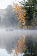 Laurentian Forest landscape in autumn, Quebec, Canda