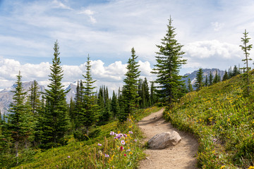 Fototapeta premium Helen Lake Trail and Andromache Peak in the background, Canada