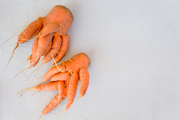 Trendly ugly carrot. Natural organic vegetables on grey concrete background. The concept of using...
